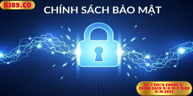Giới Thiệu Chung về Chính Sách Bảo Mật Bj89 Năm 2025